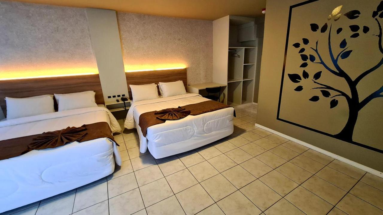 Hotel Genova Bc Balneário Camboriú エクステリア 写真